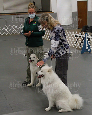 2021 SCA OBEDIENCE-RALLY-2214