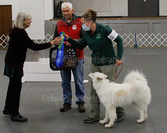 2021 SCA OBEDIENCE-RALLY-2216