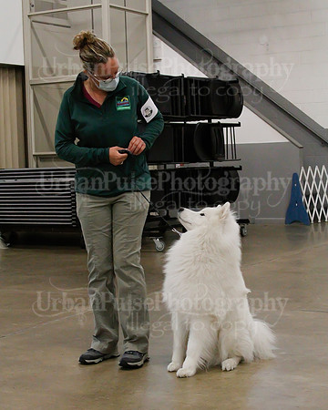 2021 SCA OBEDIENCE-RALLY-2224