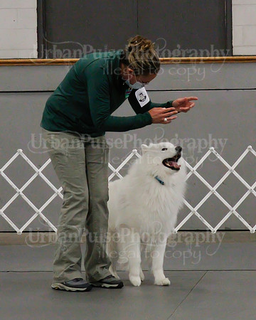2021 SCA OBEDIENCE-RALLY-2230