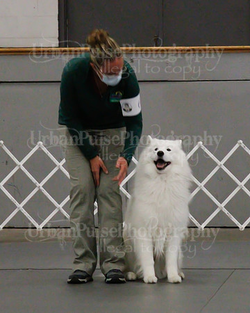 2021 SCA OBEDIENCE-RALLY-2231