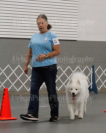 2021 SCA OBEDIENCE-RALLY-2238