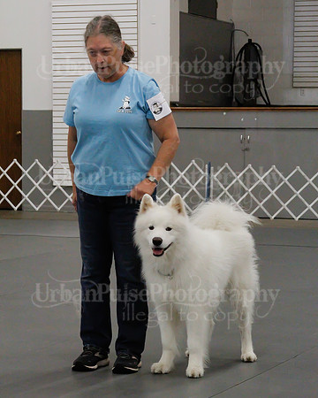 2021 SCA OBEDIENCE-RALLY-2245
