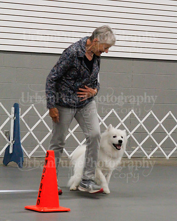 2021 SCA OBEDIENCE-RALLY-2248