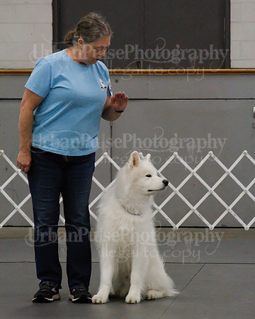 2021 SCA OBEDIENCE-RALLY-2241