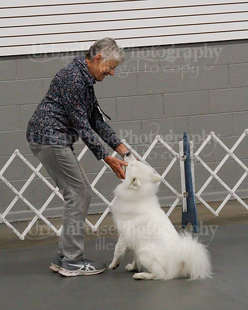 2021 SCA OBEDIENCE-RALLY-2251