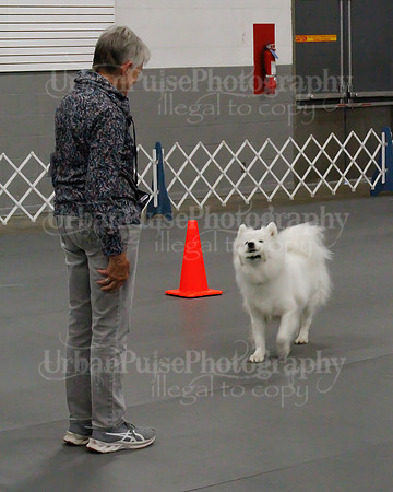 2021 SCA OBEDIENCE-RALLY-2253