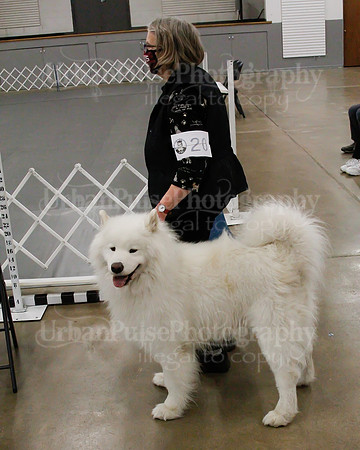 2021 SCA OBEDIENCE-RALLY-2259
