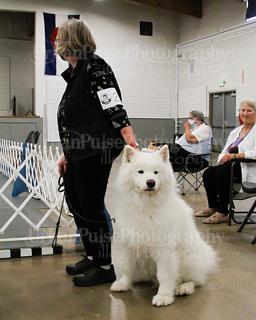 2021 SCA OBEDIENCE-RALLY-2260
