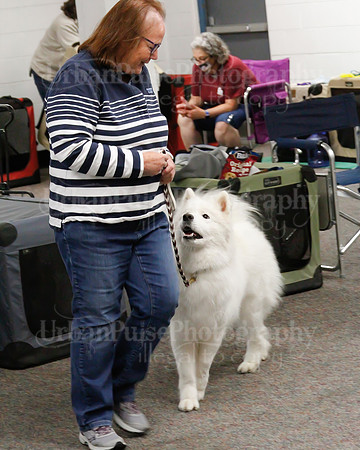 2021 SCA OBEDIENCE-RALLY-2264
