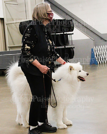 2021 SCA OBEDIENCE-RALLY-2265
