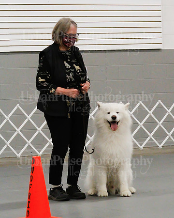 2021 SCA OBEDIENCE-RALLY-2267