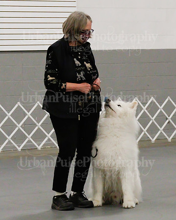 2021 SCA OBEDIENCE-RALLY-2269