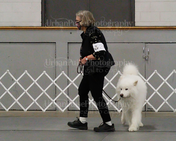 2021 SCA OBEDIENCE-RALLY-2266