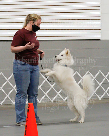 2021 SCA OBEDIENCE-RALLY-2275