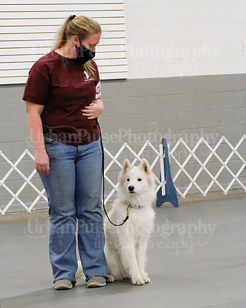 2021 SCA OBEDIENCE-RALLY-2278