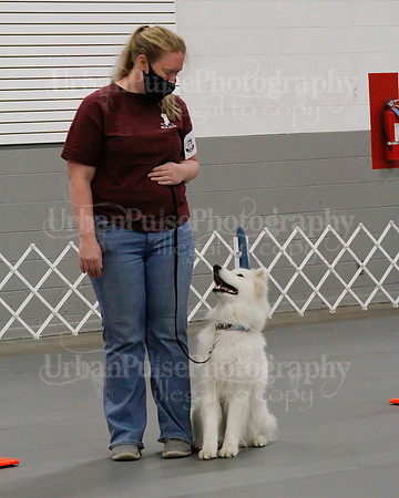 2021 SCA OBEDIENCE-RALLY-2279