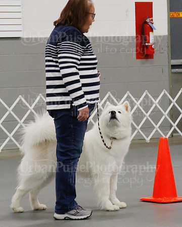 2021 SCA OBEDIENCE-RALLY-2287