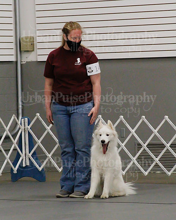 2021 SCA OBEDIENCE-RALLY-2282
