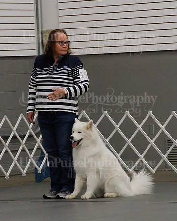 2021 SCA OBEDIENCE-RALLY-2289