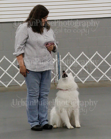 2021 SCA OBEDIENCE-RALLY-2292