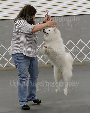 2021 SCA OBEDIENCE-RALLY-2293