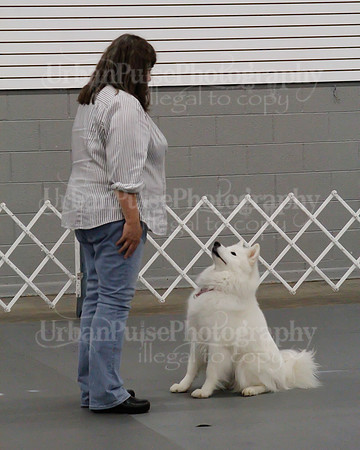 2021 SCA OBEDIENCE-RALLY-2296