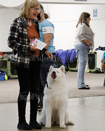 2021 SCA OBEDIENCE-RALLY-2300