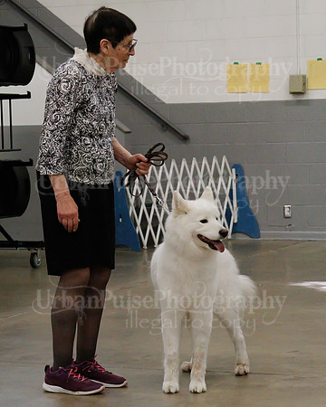 2021 SCA OBEDIENCE-RALLY-2298