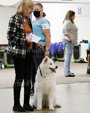 2021 SCA OBEDIENCE-RALLY-2301