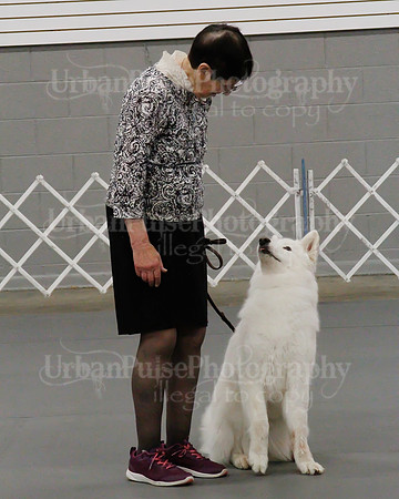 2021 SCA OBEDIENCE-RALLY-2307