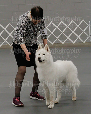 2021 SCA OBEDIENCE-RALLY-2308