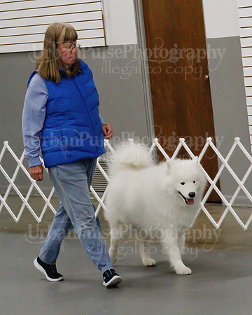 2021 SCA OBEDIENCE-RALLY-2319