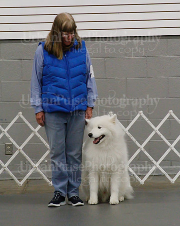 2021 SCA OBEDIENCE-RALLY-2322