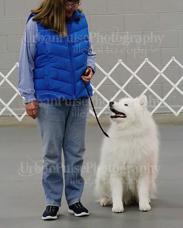 2021 SCA OBEDIENCE-RALLY-2316