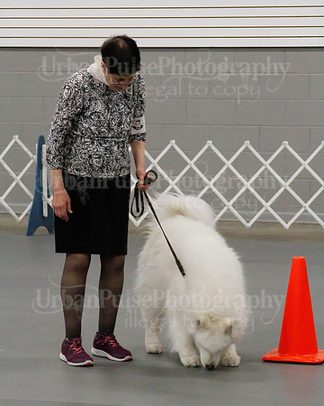 2021 SCA OBEDIENCE-RALLY-2327
