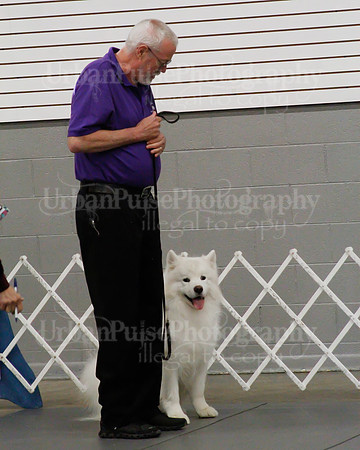 2021 SCA OBEDIENCE-RALLY-2329