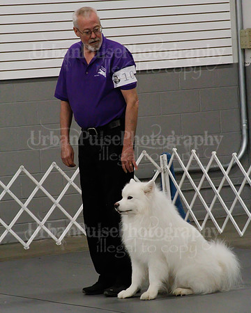 2021 SCA OBEDIENCE-RALLY-2339