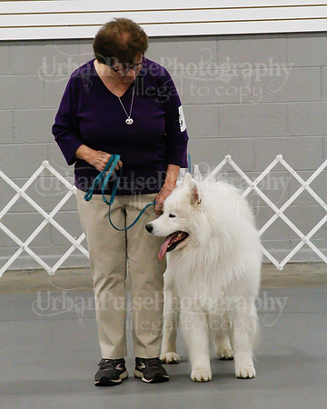 2021 SCA OBEDIENCE-RALLY-2343