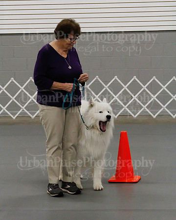 2021 SCA OBEDIENCE-RALLY-2345