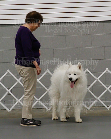 2021 SCA OBEDIENCE-RALLY-2347