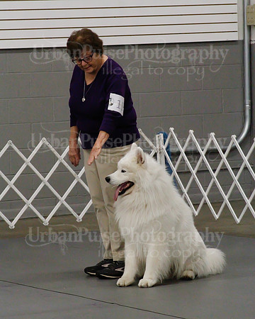 2021 SCA OBEDIENCE-RALLY-2350