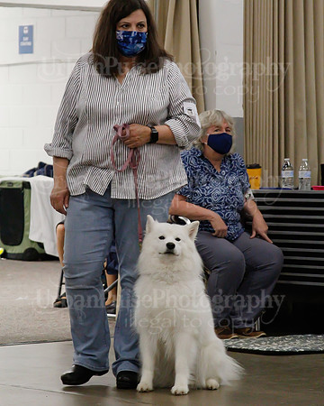 2021 SCA OBEDIENCE-RALLY-2354