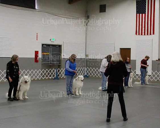 2021 SCA OBEDIENCE-RALLY-2355