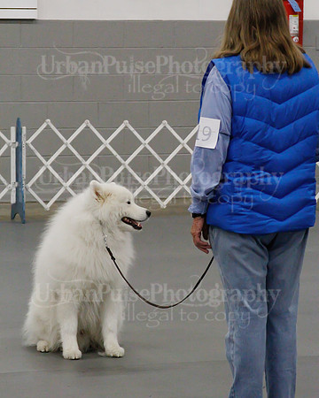 2021 SCA OBEDIENCE-RALLY-2358