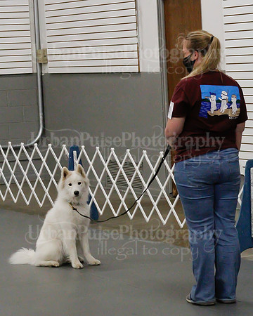 2021 SCA OBEDIENCE-RALLY-2361