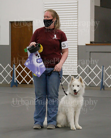 2021 SCA OBEDIENCE-RALLY-2378