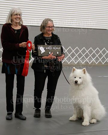 2021 SCA OBEDIENCE-RALLY-2382