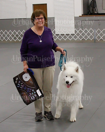 2021 SCA OBEDIENCE-RALLY-2385