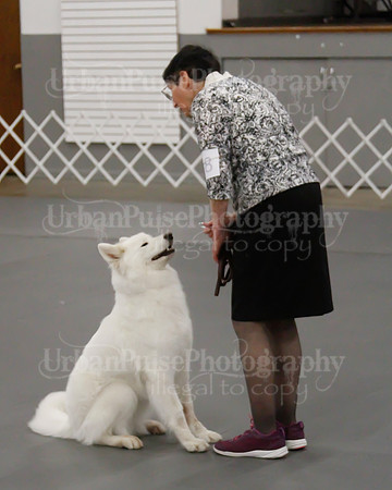 2021 SCA OBEDIENCE-RALLY-2394